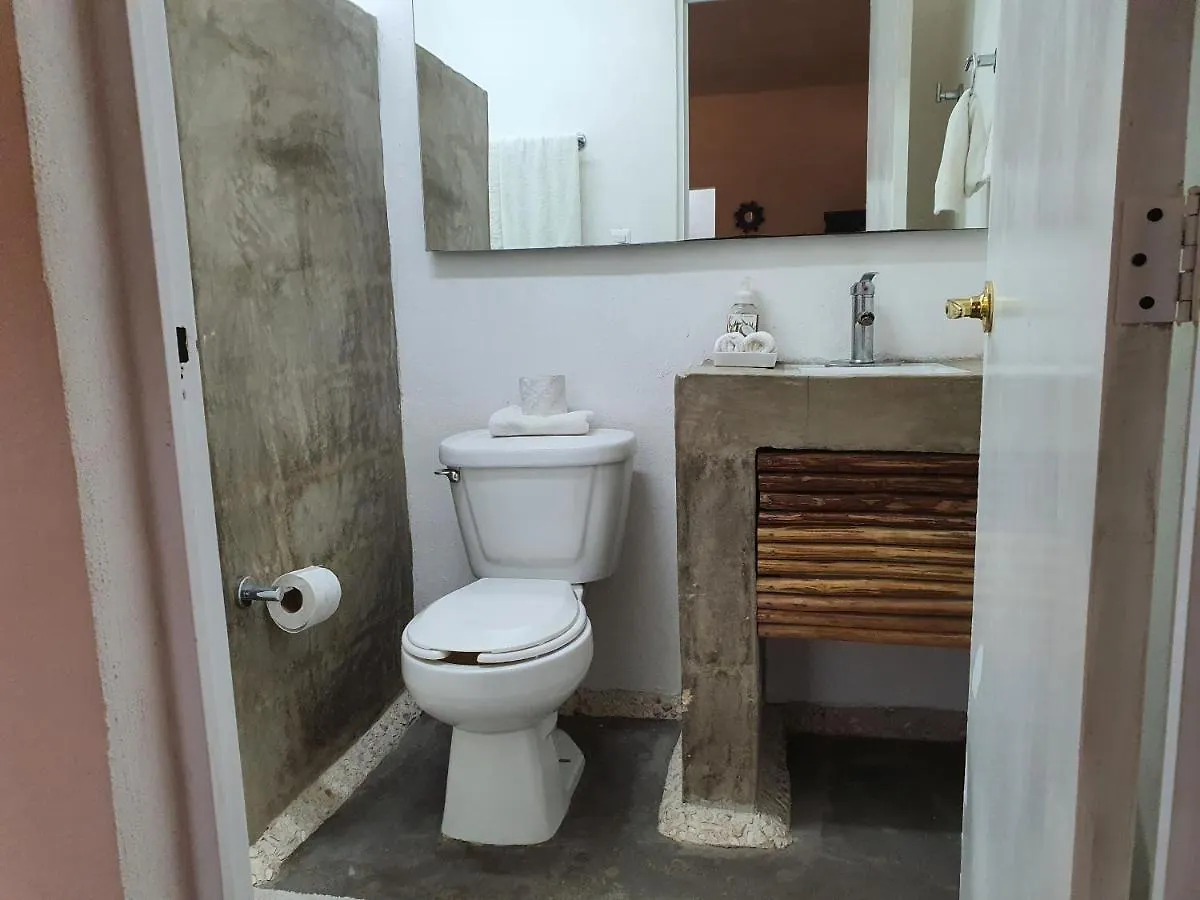 公寓 Elixir Homes 图卢姆