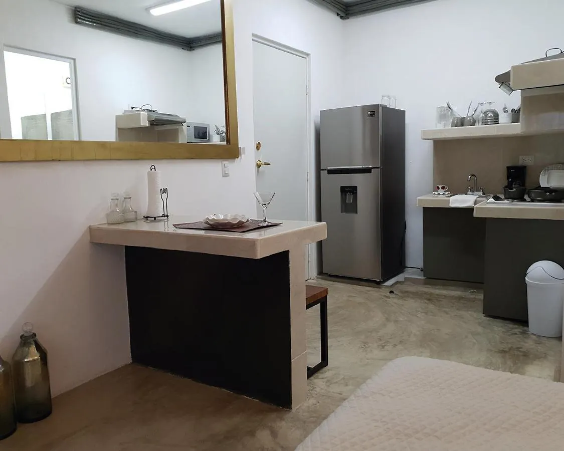 Elixir Homes 图卢姆 墨西哥