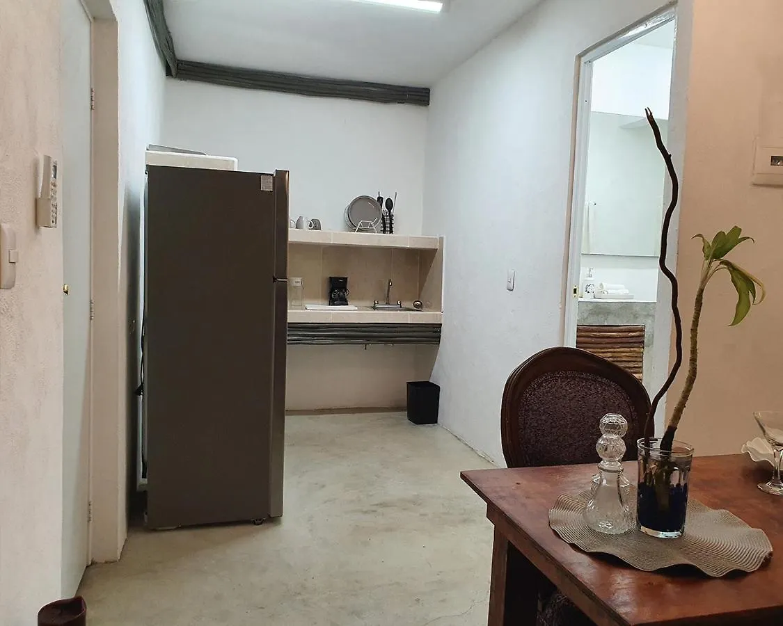 公寓 Elixir Homes 图卢姆 墨西哥