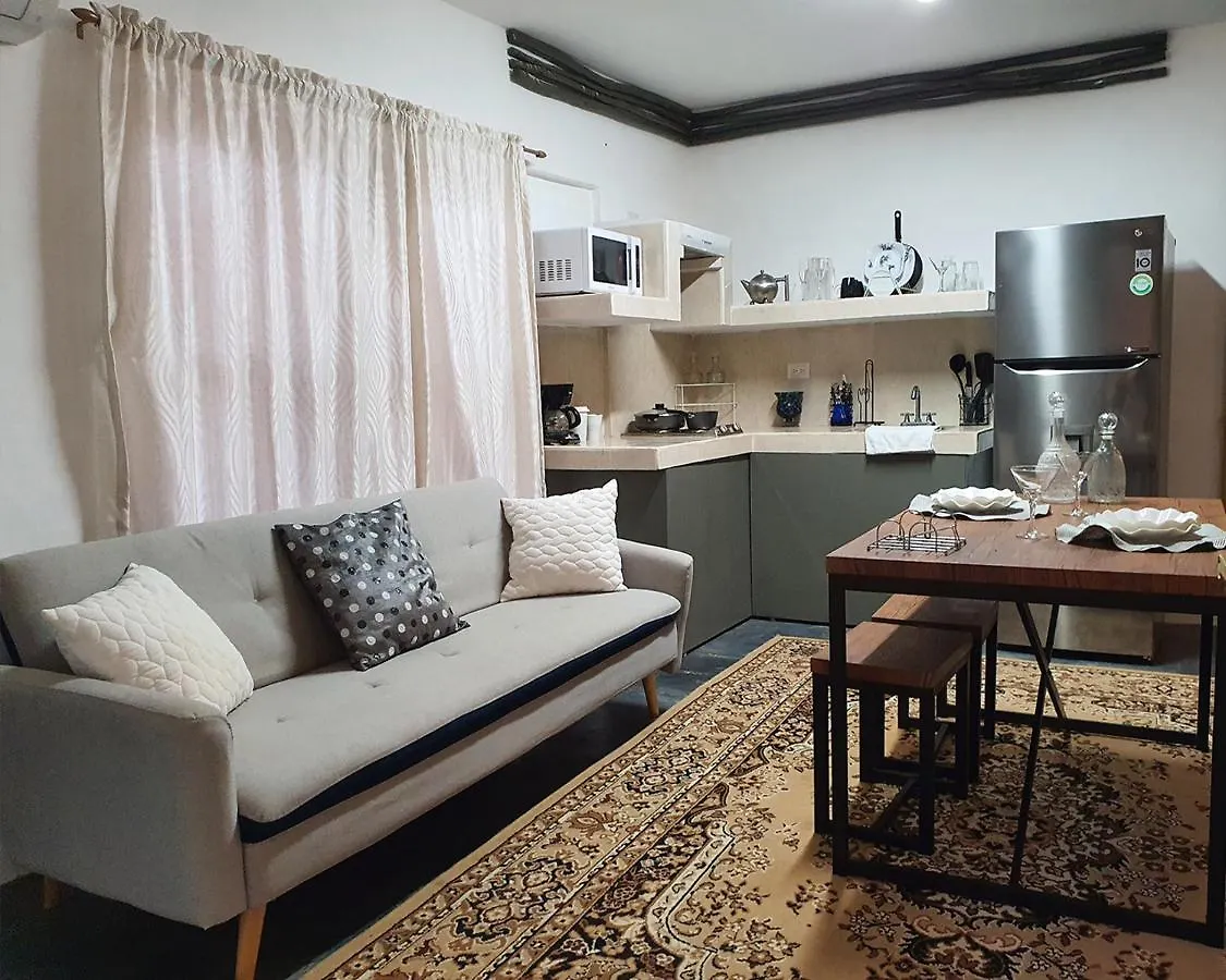 Elixir Homes 图卢姆 公寓
