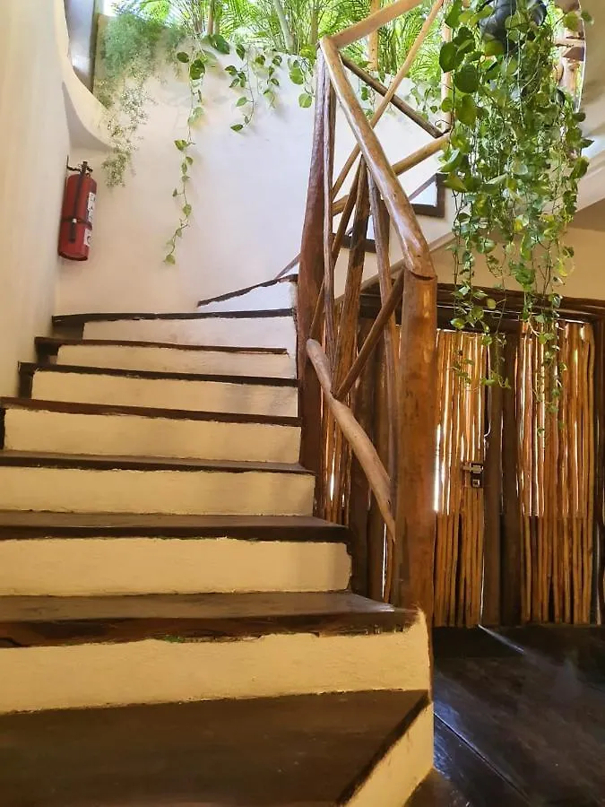 Apartment Elixir Homes Tulum